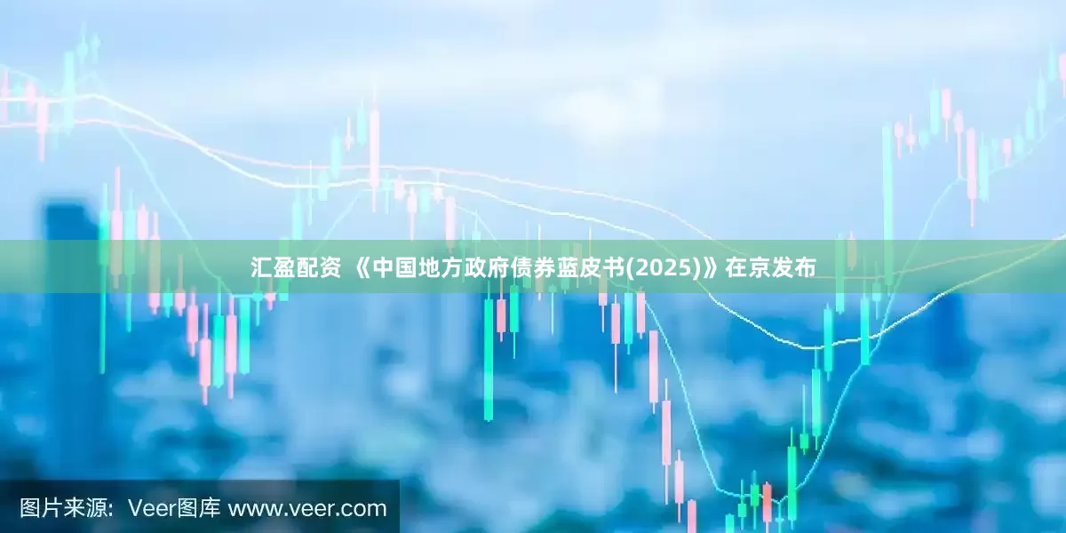 汇盈配资 《中国地方政府债券蓝皮书(2025)》在京发布